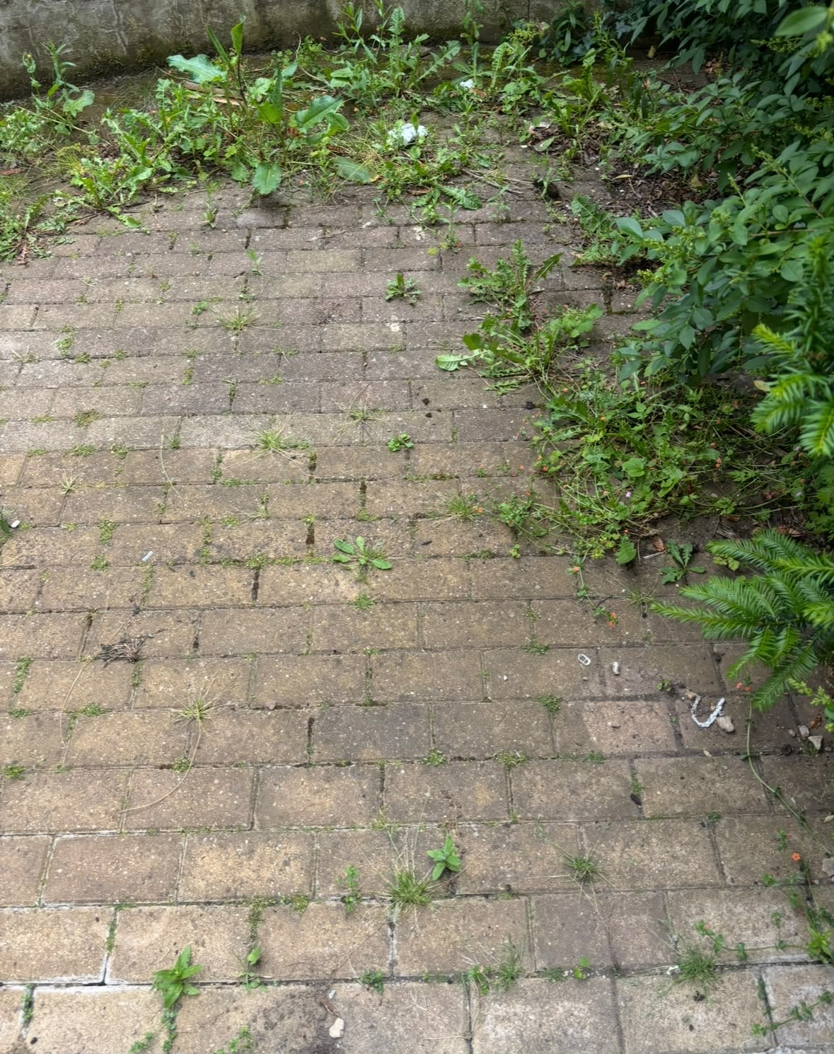 Block paving before cleaning